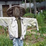 Creepy Scarecrow