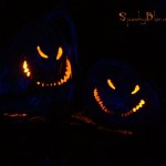 Eyes in the darkness