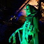 The Chapel Hill Witch