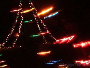 Snug Harbor Christmas Lights 2008