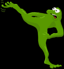 Karate Frog