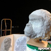 Sculpting an ape's head in paper clay